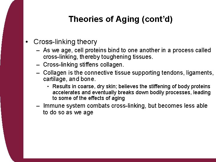 Theories of Aging (cont’d) • Cross-linking theory – As we age, cell proteins bind