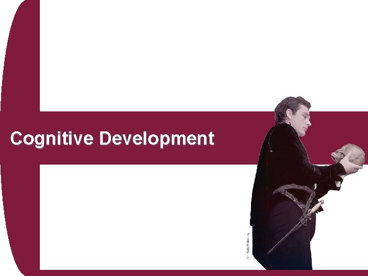 Cognitive Development Cognitive Development