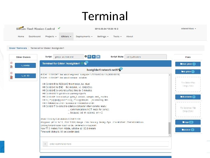 Terminal Terminal