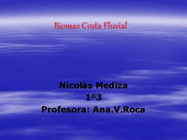 Biomas Costa Fluvial Nicolás Mediza 1º 3 Profesora: Ana. V. Roca 