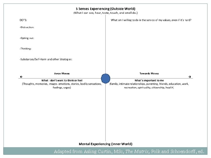 Adapted from Asling Curtin, MSc, The Matrix, Polk and Schoendorff, ed. 