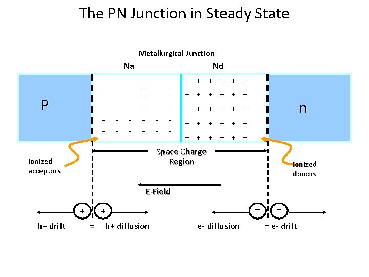 The PN Junction in Steady State Metallurgical Junction Na Nd - - - -