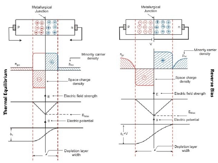 Thermal Equilibrium Reverse Bias 7 