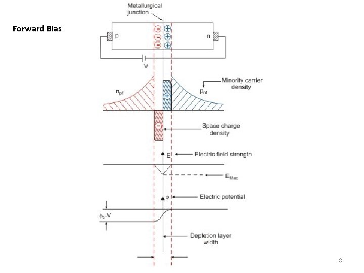 Forward Bias 8 