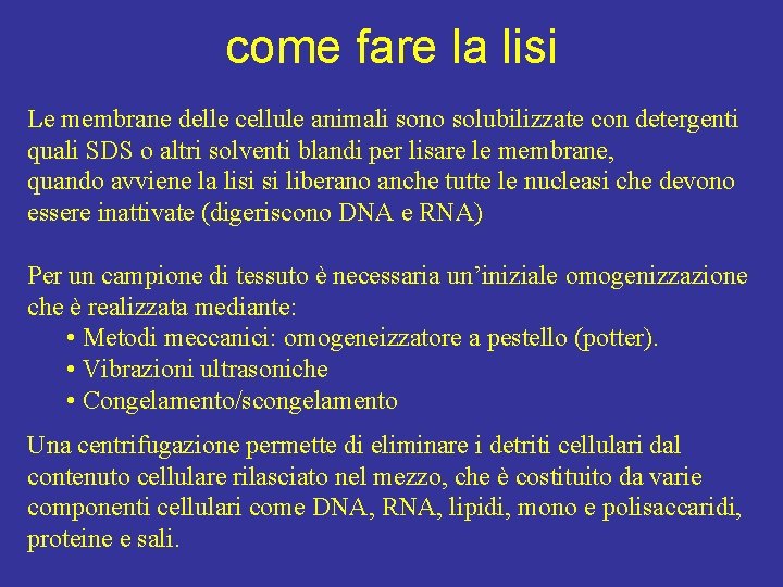 come fare la lisi Le membrane delle cellule animali sono solubilizzate con detergenti quali