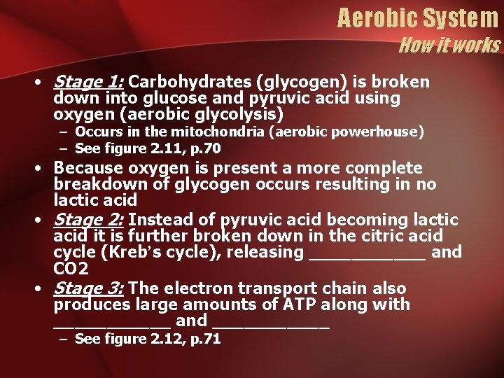 Aerobic System How it works • Stage 1: Carbohydrates (glycogen) is broken down into Aerobic System How it works • Stage 1: Carbohydrates (glycogen) is broken down into