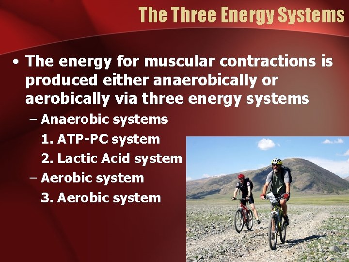 The Three Energy Systems • The energy for muscular contractions is produced either anaerobically The Three Energy Systems • The energy for muscular contractions is produced either anaerobically