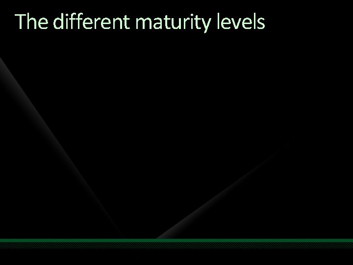 The different maturity levels The different maturity levels
