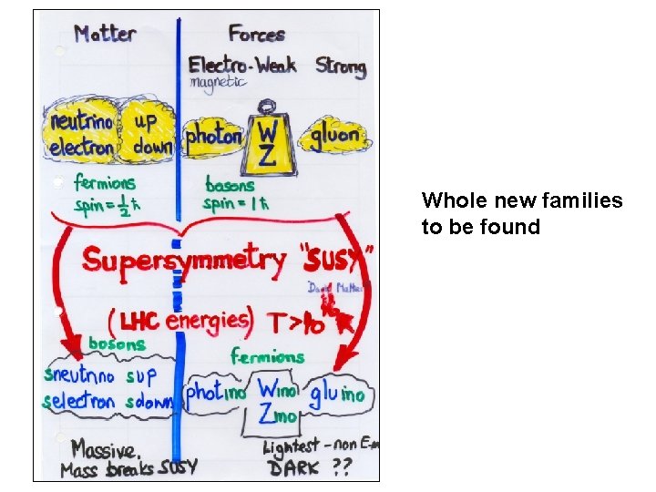 Whole new families to be found 