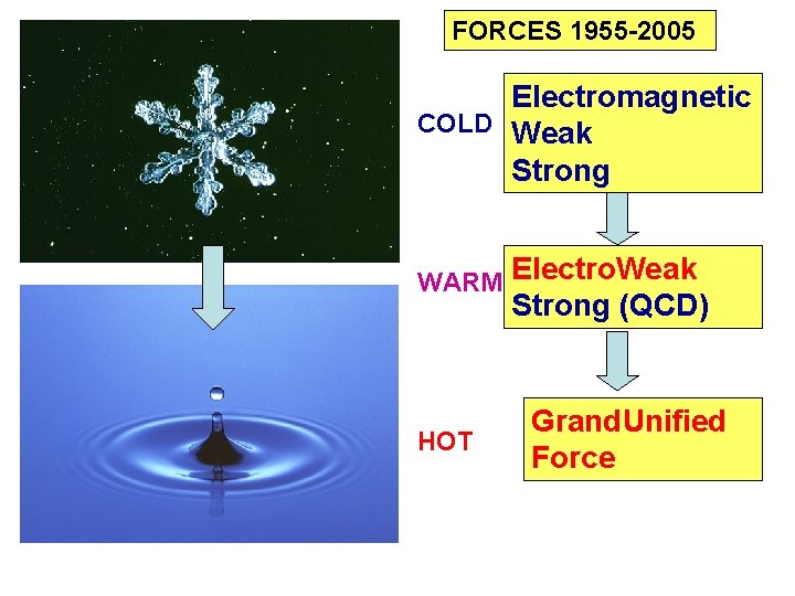 FORCES 1955 -2005 Electromagnetic COLD Weak Strong WARM Electro. Weak Strong (QCD) HOT Grand.