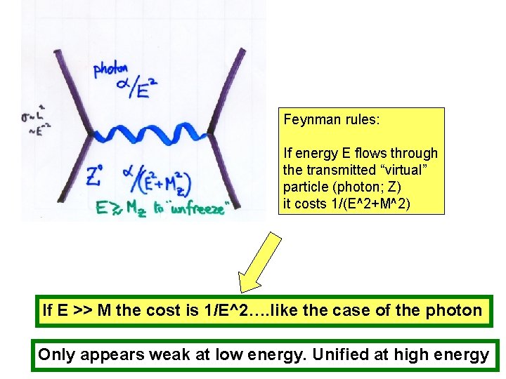 Feynman rules: If energy E flows through the transmitted “virtual” particle (photon; Z) it