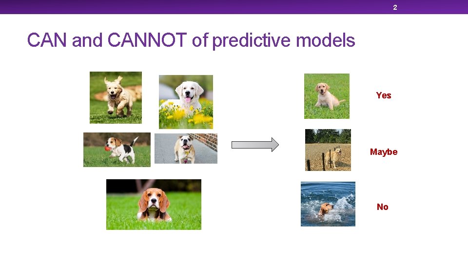 2 CAN and CANNOT of predictive models Yes Maybe No 