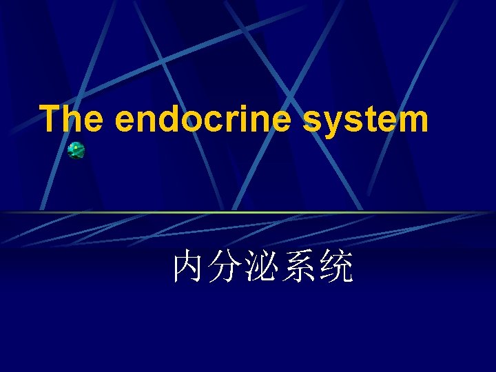 The endocrine system 内分泌系统 