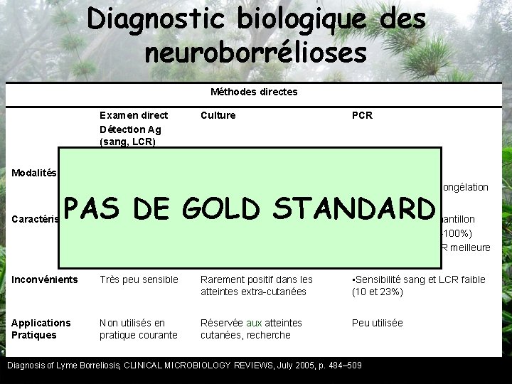 Diagnostic biologique des neuroborrélioses Méthodes directes Examen direct Détection Ag (sang, LCR) Modalités Culture