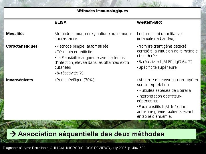 Méthodes immunologiques ELISA Western-Blot Modalités Méthode immuno-enzymatique ou immunofluorescence Lecture semi-quantitative (intensité de bandes)