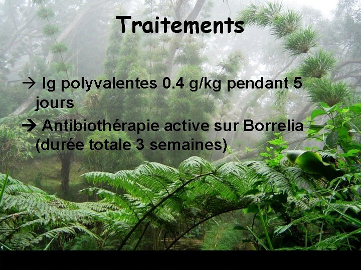 Traitements à Ig polyvalentes 0. 4 g/kg pendant 5 jours Antibiothérapie active sur Borrelia