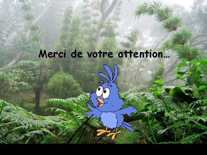 Merci de votre attention… 