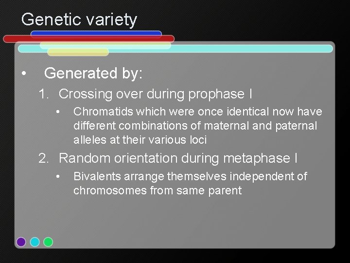 Genetic variety • Generated by: 1. Crossing over during prophase I • Chromatids which