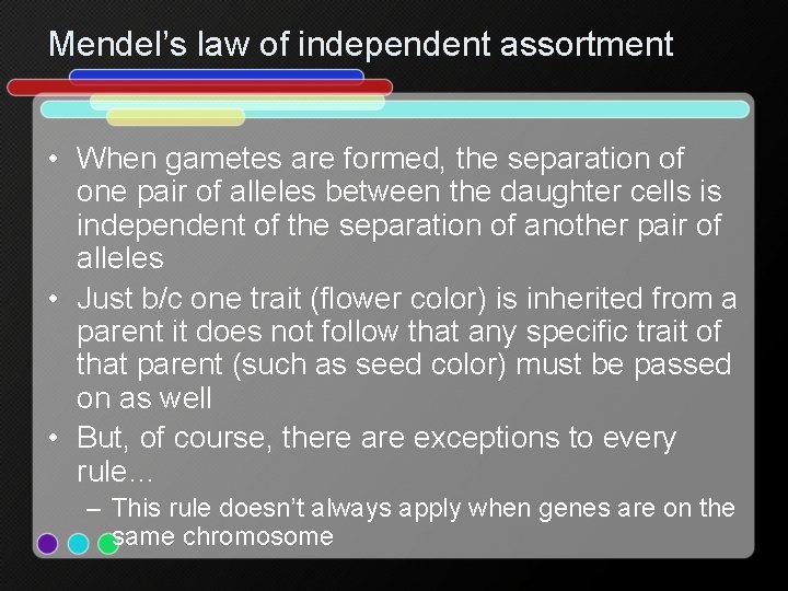 Mendel’s law of independent assortment • When gametes are formed, the separation of one