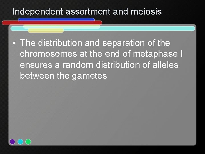 Independent assortment and meiosis • The distribution and separation of the chromosomes at the