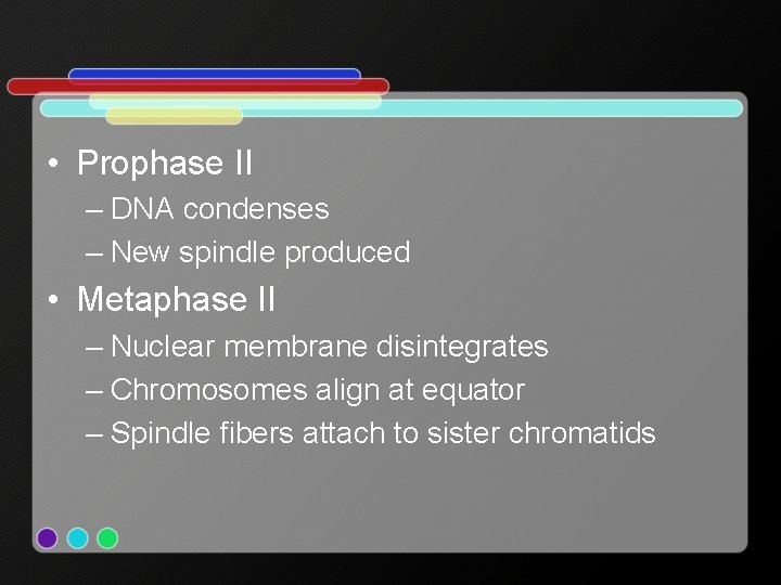  • Prophase II – DNA condenses – New spindle produced • Metaphase II