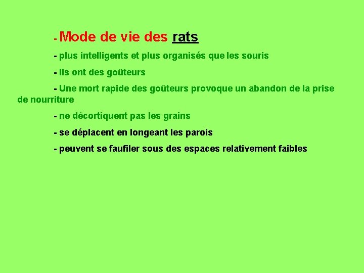  - Mode de vie des rats - plus intelligents et plus organisés que