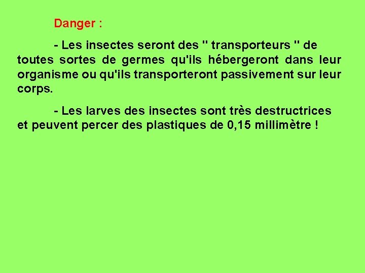 Danger : - Les insectes seront des " transporteurs " de toutes sortes de