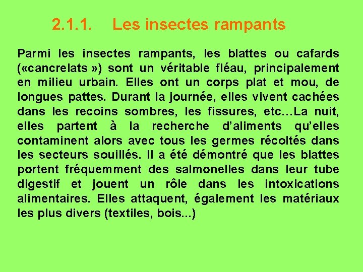 2. 1. 1. Les insectes rampants Parmi les insectes rampants, les blattes ou cafards