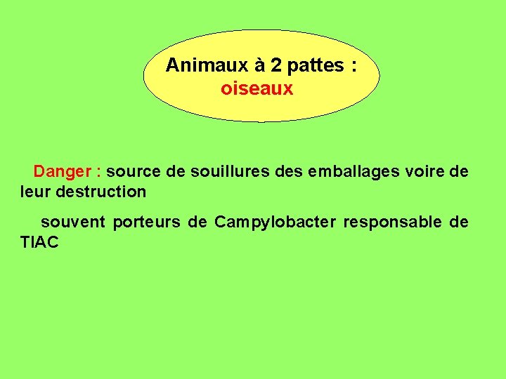 Animaux à 2 pattes : oiseaux Danger : source de souillures des emballages voire