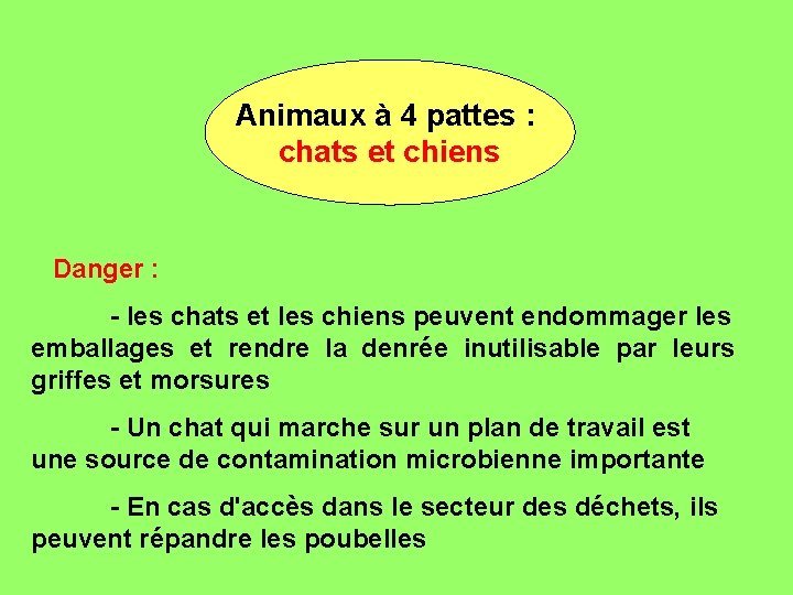 Animaux à 4 pattes : chats et chiens Danger : - les chats et