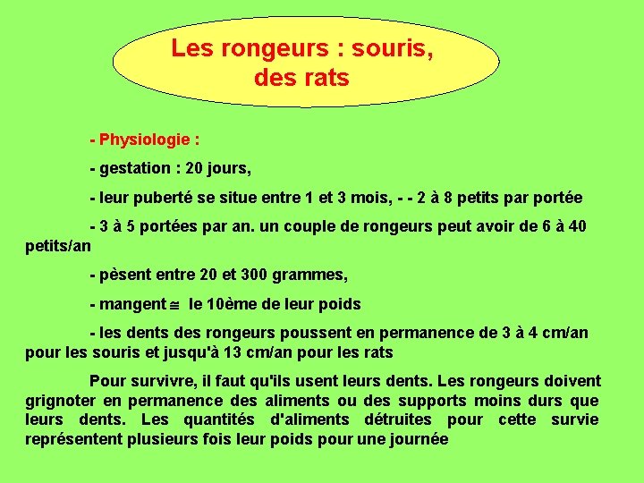 Les rongeurs : souris, des rats - Physiologie : - gestation : 20 jours,