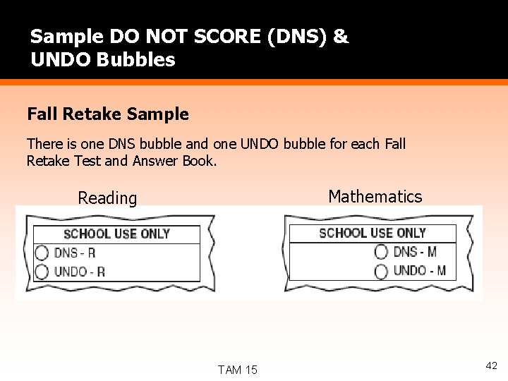Sample DO NOT SCORE (DNS) & UNDO Bubbles Fall Retake Sample There is one