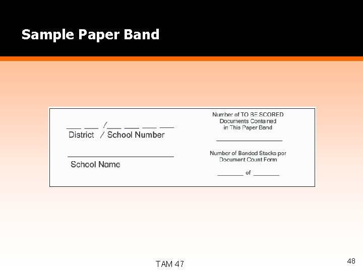 Sample Paper Band TAM 47 48 