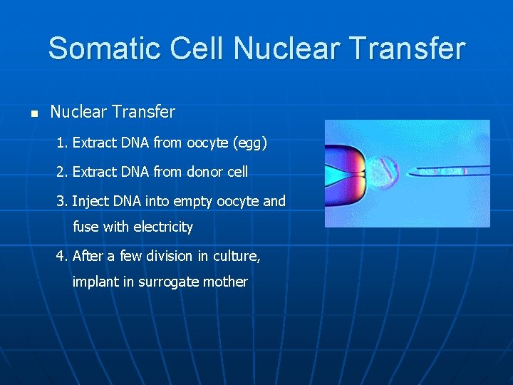 Somatic Cell Nuclear Transfer n Nuclear Transfer 1. Extract DNA from oocyte (egg) 2.