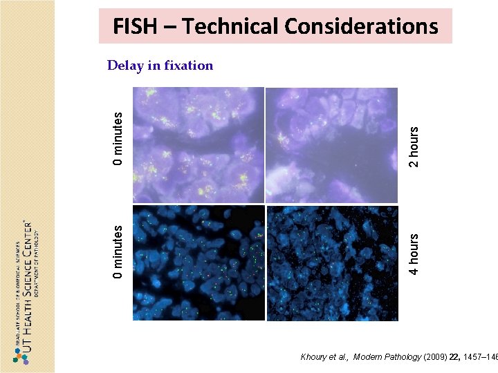 FISHing in Pathology Gopalrao Velagaleti Ph D Director