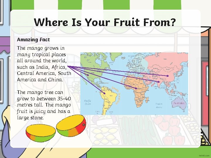 Where Is Your Fruit From? Amazing Fact The mango grows in many tropical places