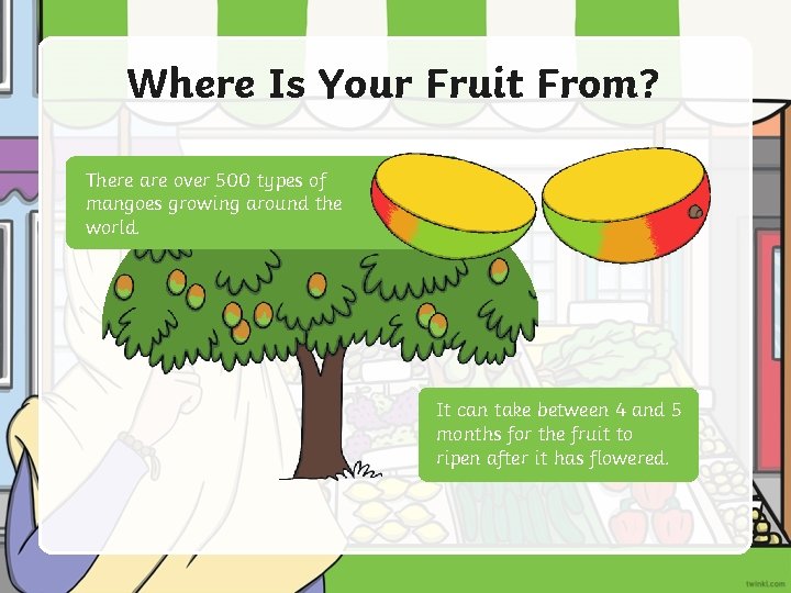 Where Is Your Fruit From? There are over 500 types of mangoes growing around