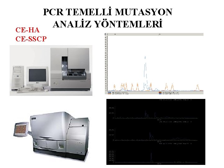 PCR TEMELLİ MUTASYON ANALİZ YÖNTEMLERİ CE-HA CE-SSCP 