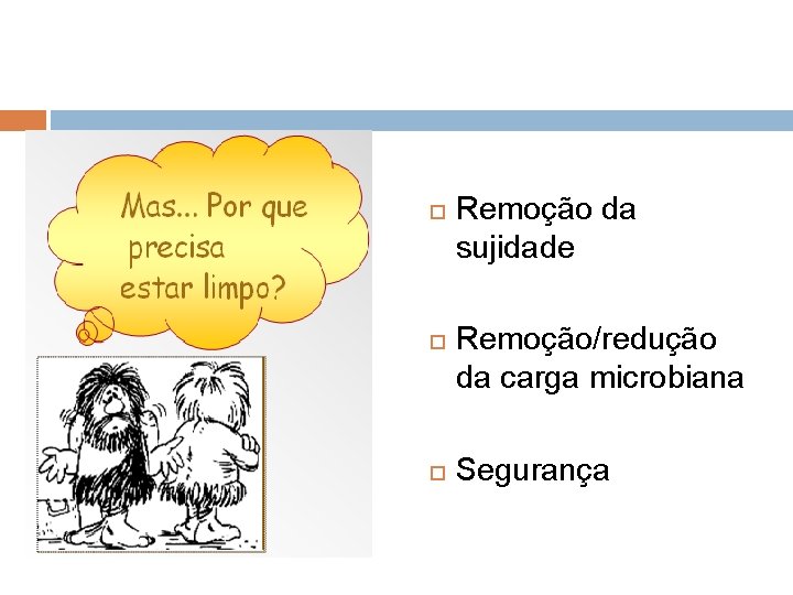  Remoção da sujidade Remoção/redução da carga microbiana Segurança 