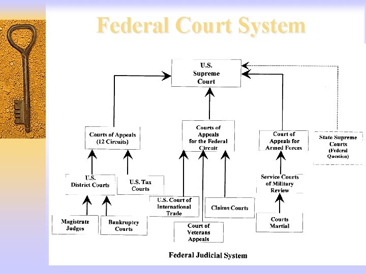 Federal Court System 