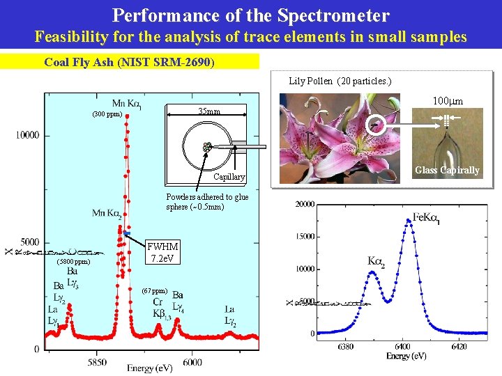 Performance of the Spectrometer Feasibility for the analysis of trace elements in small samples