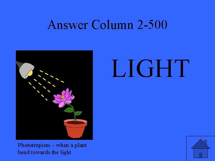 Answer Column 2 -500 LIGHT Phototropism – when a plant bend towards the light