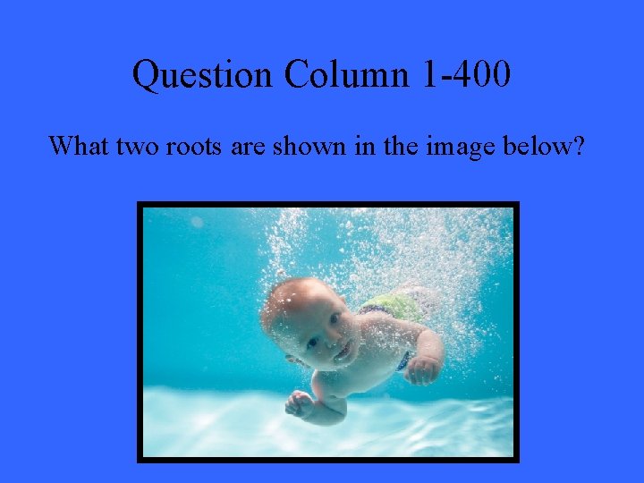 Question Column 1 -400 What two roots are shown in the image below? 