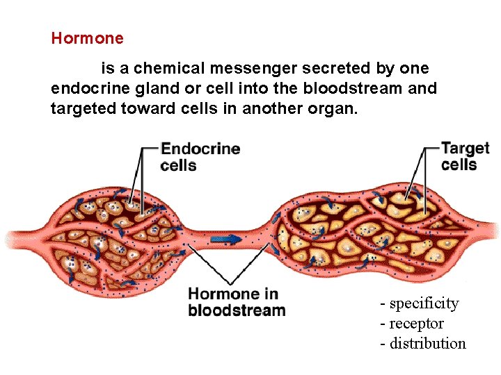 Hormone is a chemical messenger secreted by one endocrine gland or cell into the