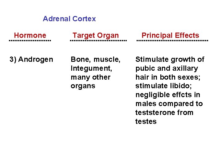 Adrenal Cortex Hormone 3) Androgen Target Organ Principal Effects Bone, muscle, Integument, many other