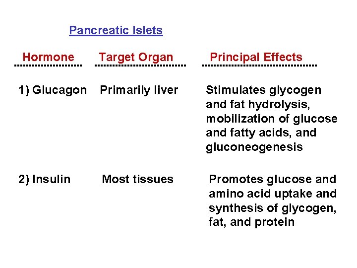Pancreatic Islets Hormone Target Organ Principal Effects 1) Glucagon Primarily liver Stimulates glycogen and