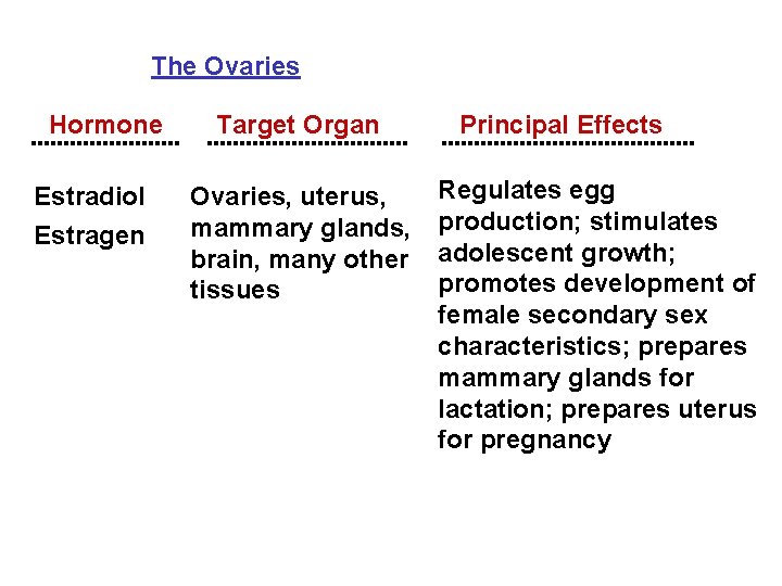 The Ovaries Hormone Estradiol Estragen Target Organ Ovaries, uterus, mammary glands, brain, many other