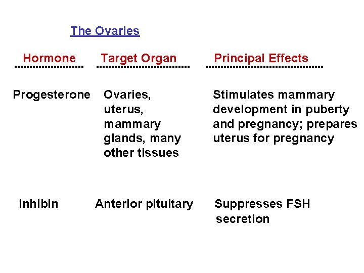 The Ovaries Hormone Target Organ Progesterone Ovaries, uterus, mammary glands, many other tissues Principal