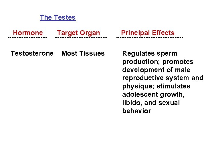 The Testes Hormone Target Organ Testosterone Most Tissues Principal Effects Regulates sperm production; promotes