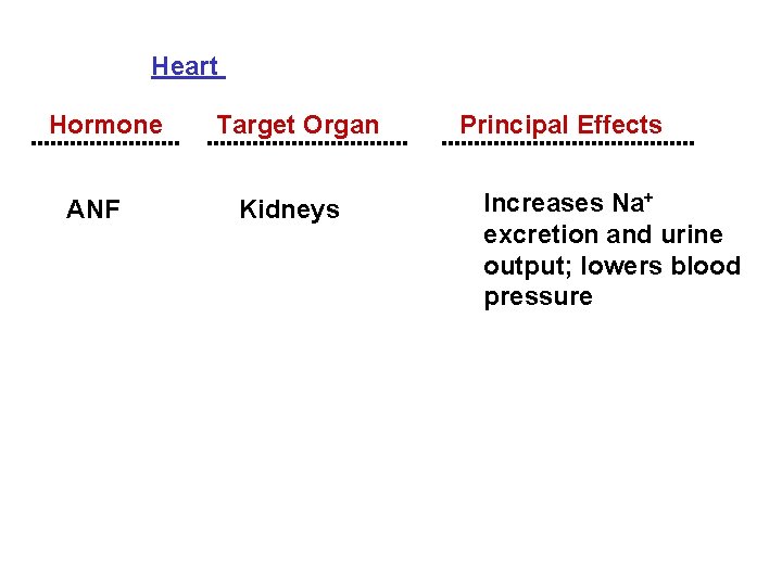 Heart Hormone Target Organ ANF Kidneys Principal Effects Increases Na+ excretion and urine output;